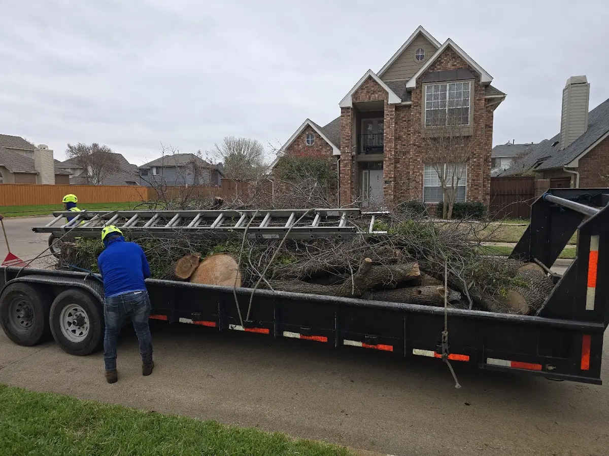 Expert Lot Clearing with proper safety equipment in Dalbo